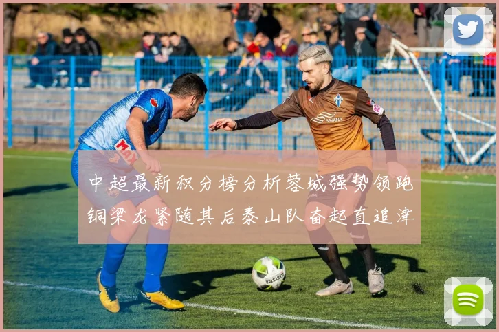 中超最新积分榜分析蓉城强势领跑铜梁龙紧随其后泰山队奋起直追津门虎仍需努力