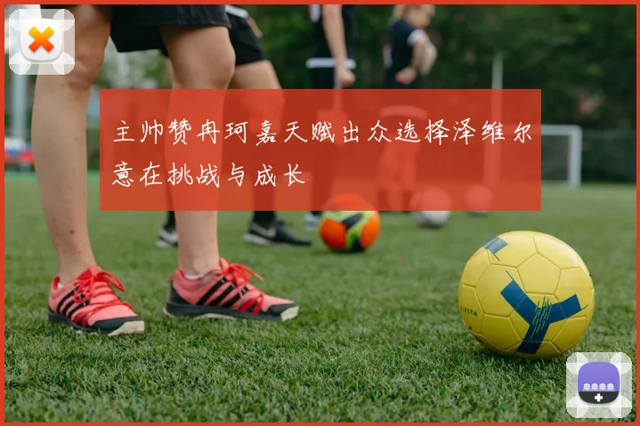 主帅赞冉珂嘉天赋出众选择泽维尔意在挑战与成长