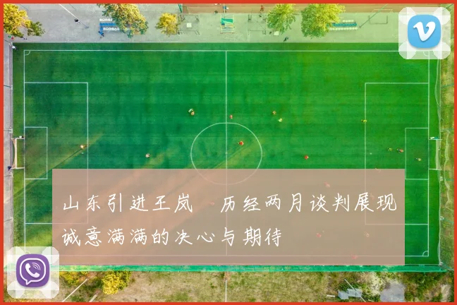山东引进王岚嵚历经两月谈判展现诚意满满的决心与期待
