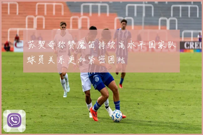 苏契奇称赞魔笛持续高水平国家队球员关系更加紧密团结